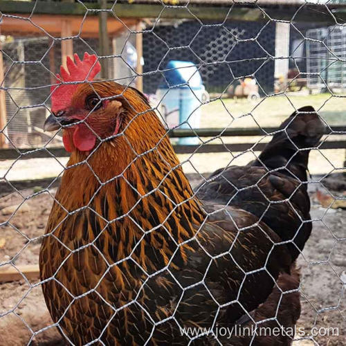 Chicken Hexagonal Wire Netting Wire Mesh